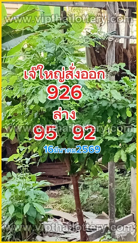 Thailand Lottery Direct Win Bangkok Vip Tips Open Thai 16-03-2026