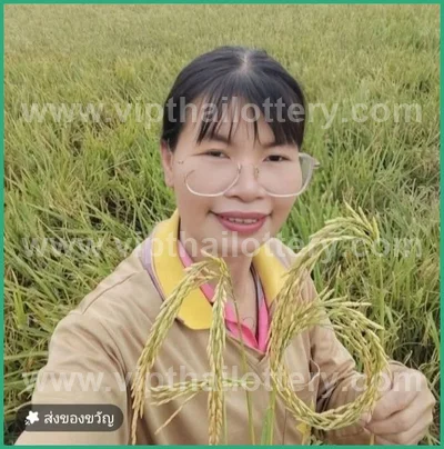 Thai Official Lottery Lucky Glo Numbers Winning 01-04-2026