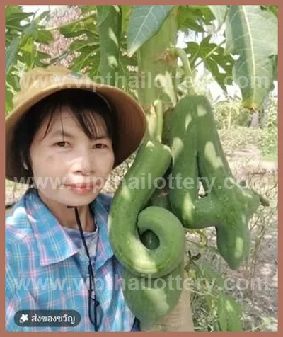 Thai Official Lottery Lucky Glo Numbers Winning 01-04-2026