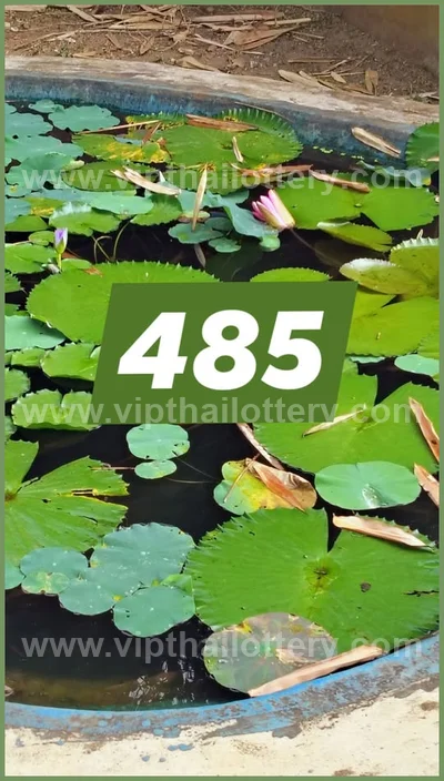 Thai Government Lottery Numbers Paper Sure 3Up Glo 1-4-2026