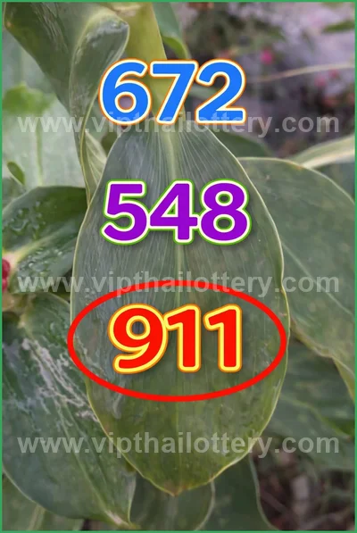 Thai Official Lottery Set Winning Direct Paper 01-04-2026