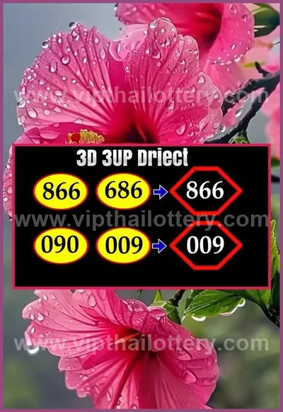 Thai Lotto Tips Lucky Set 3Up Winning Sure VIP 1 April 2026