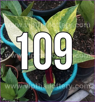 Thai Lotto Touch Result Set Lucky Direct Sure 3Up 01-04-2026