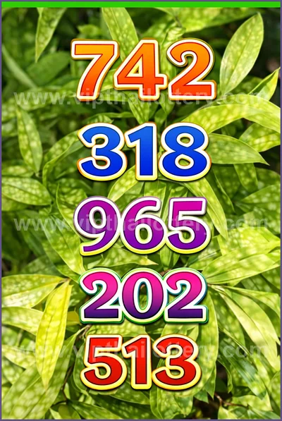 Thai Lotto Touch Result Set Lucky Direct Sure 3Up 01-04-2026