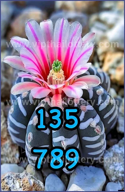 Thai Lotto Touch Result Set Lucky Direct Sure 3Up 01-04-2026