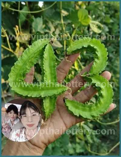 Thai Lotto Touch Result Set Lucky Direct Sure 3Up 01-04-2026