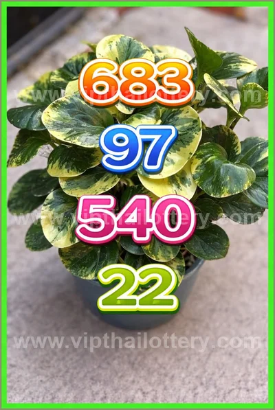 Thai Lotto Touch Result Set Lucky Direct Sure 3Up 01-04-2026