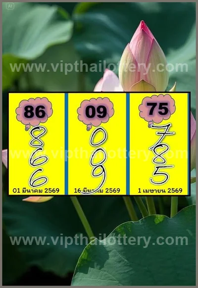 Thai Lotto Touch Result Set Lucky Direct Sure 3Up 01-04-2026