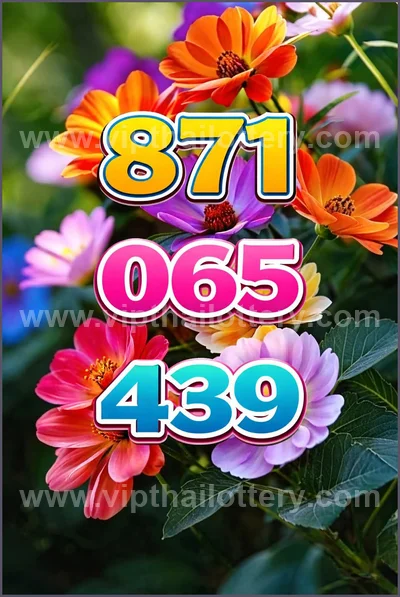 Thai Lotto Touch Result Set Lucky Direct Sure 3Up 01-04-2026
