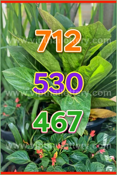 Thai Lotto Touch Result Set Lucky Direct Sure 3Up 01-04-2026