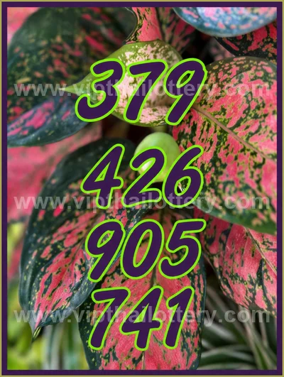 Thai Lotto Touch Result Set Lucky Direct Sure 3Up 01-04-2026