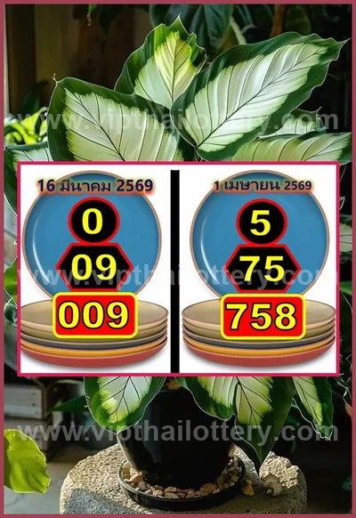 Thai Lotto Numbers Formula Lucky Sure Paper Result 1.04.2026