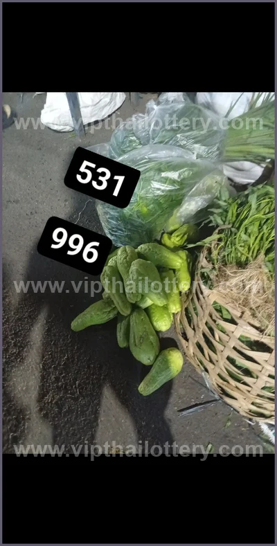 Thai Lotto Numbers Formula Lucky Sure Paper Result 1.04.2026