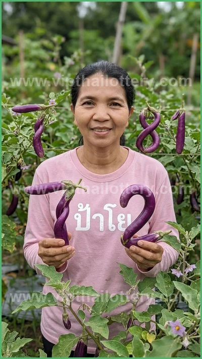 Thai Lottery Tips Result Formula Lucky Set 3Up VIP 1/04/2026