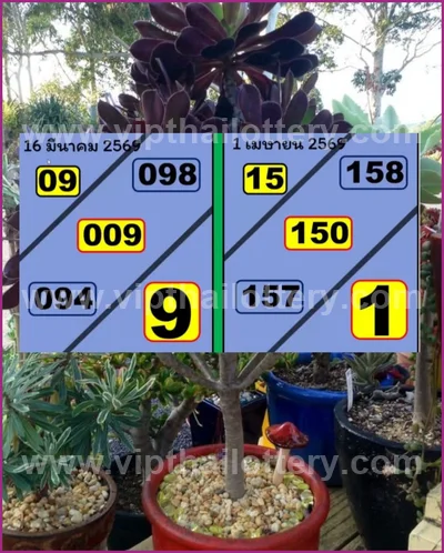 Thai Lottery Tips Result Formula Lucky Set 3Up VIP 1/04/2026