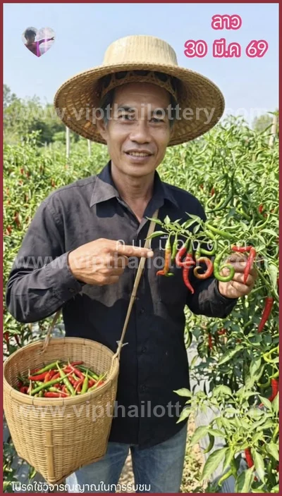 Thai Lottery Tips Result Formula Lucky Set 3Up VIP 1/04/2026