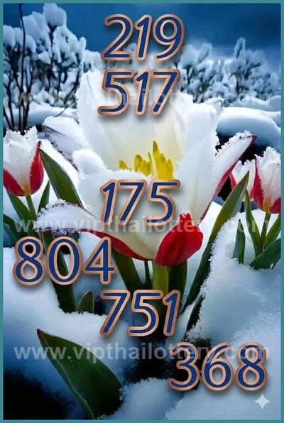 Thai Lottery Lucky Winning Tips Sure Paper Touch 16.04.2026