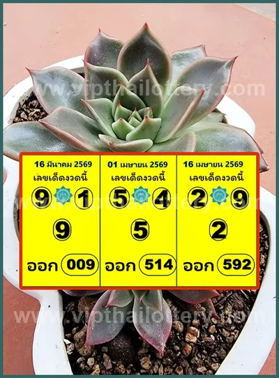 Thai Lottery Formula Winning Lucky Set Touch VIP 16-4-2026