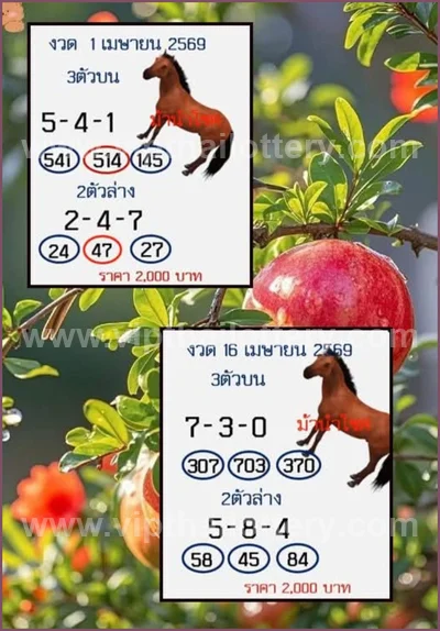 Thai Official Lottery Set Sure Paper Touch Tips 16.04.2026