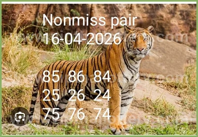 Thai Official Lottery Set Sure Paper Touch Tips 16.04.2026