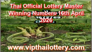 Thai Official Lottery Master Winning Numbers 16th April 2026