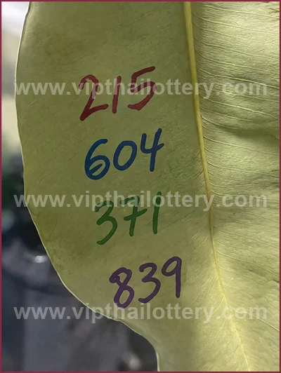 Thai Official Lottery Master Winning Numbers 16th April 2026