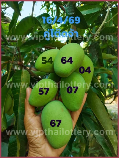 Thai Official Lottery Master Winning Numbers 16th April 2026