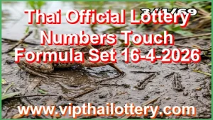 Thailand Official Lottery Numbers Touch Formula Set 16-4-2026