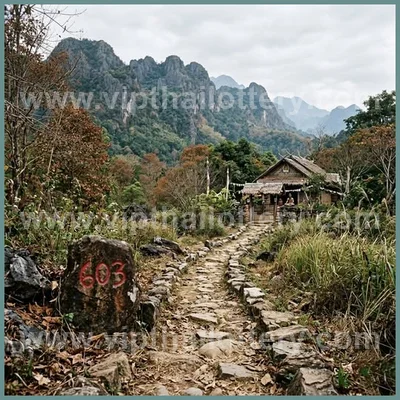 Thai Official Lottery Numbers Touch Formula Set 16-4-2026