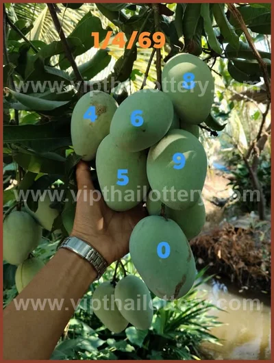 Thailand Lottery Winning Set Paper Result Sure 16 April 2026