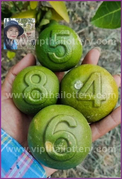 Thailand Lottery Winning Set Paper Result Sure 16 April 2026