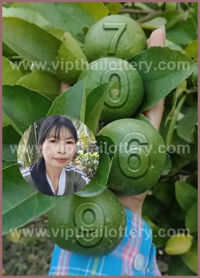 Thailand Lottery Winning Set Paper Result Sure 16 April 2026