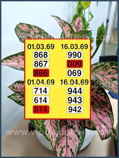 Thai Lottery Set Lucky Direct Tips Sure 3Up Result 16-4-2026