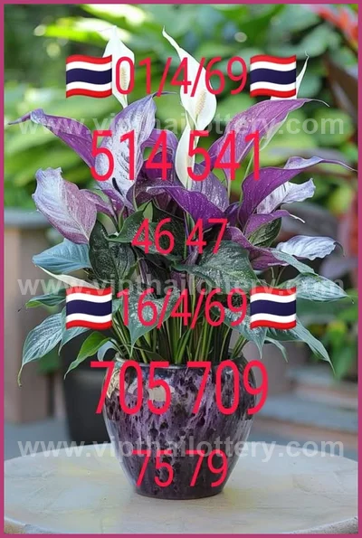 Thai Lottery Set Lucky Direct Tips Sure 3Up Result 16-4-2026