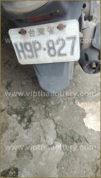 Thai Lottery Set Lucky Direct Tips Sure 3Up Result 16-4-2026