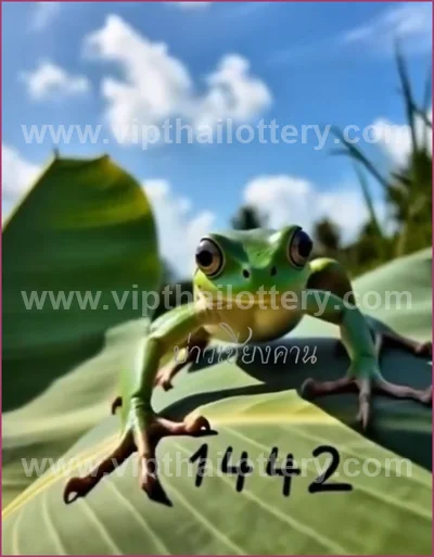 Thai Lotto VIP 3Up Set Result Paper Touch Formula 16.04.26