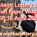 Thailand Lottery Sure Result Paper Winning VIP 16 April 2026