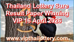 Thailand Lottery Sure Result Paper Winning VIP 16 April 2026