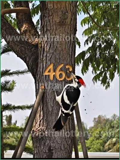 Thailand Lottery Sure Result Paper Winning VIP 16 April 2026