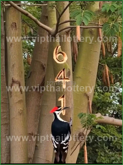 Thailand Lottery Sure Result Paper Winning VIP 16 April 2026