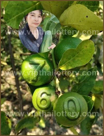 Thailand Lottery Sure Result Paper Winning VIP 16 April 2026