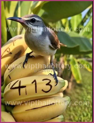 Thai Official Lottery Master Touch Result Numbers 16/04/2026