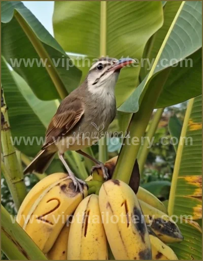 Thai Lottery Lucky Touch Winning Direct Sure 16 April 2026