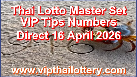 Thai Lotto Master Set VIP Tips Numbers Direct 16 April 2026