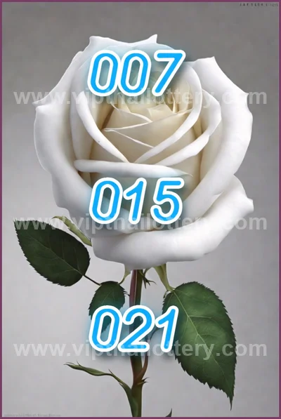 Thai Lotto Master Set VIP Tips Numbers Direct 16 April 2026