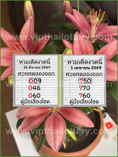Thai Lotto Direct Numbers Set Tips Master Result 16-4-2026