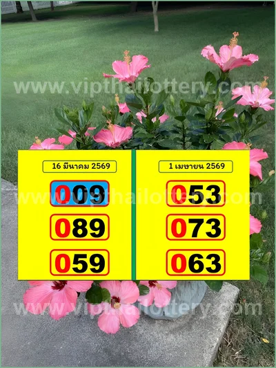 Thai Lotto Direct Numbers Set Tips Master Result 16-4-2026