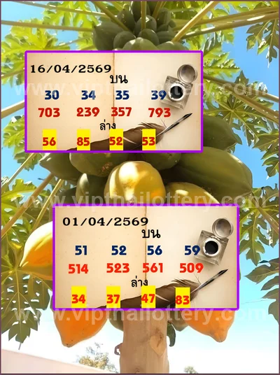 Thai Lotto Direct Numbers Set Tips Master Result 16-4-2026