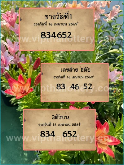 Thai Lotto Direct Numbers Set Tips Master Result 16-4-2026