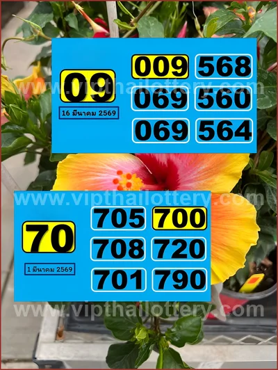 Thai Lotto Direct Numbers Set Tips Master Result 16-4-2026